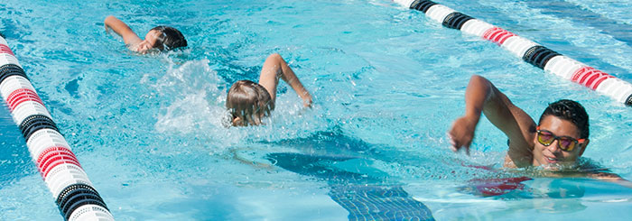 Learn to Swim Level 4