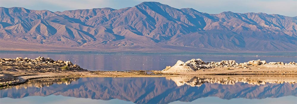 Salton Sea State Recreation Area