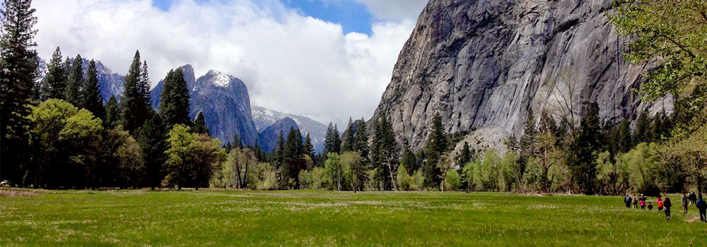 Yosemite National Park Camping & Hiking Exploration
