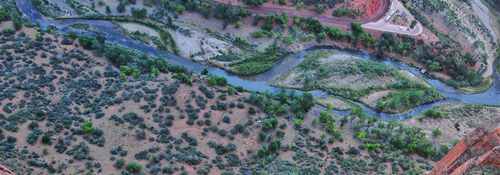 Zion National Park Camping & Hiking Exploration