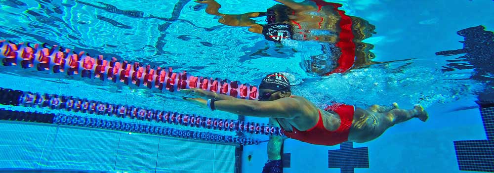 Intro to Fitness Swimming - ENS138