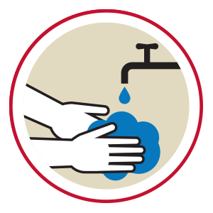 Hands Wash Icon