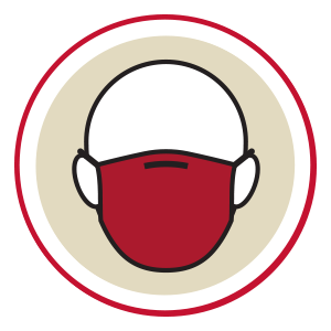 Face Mask Icon