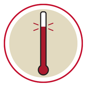 Temperature Icon