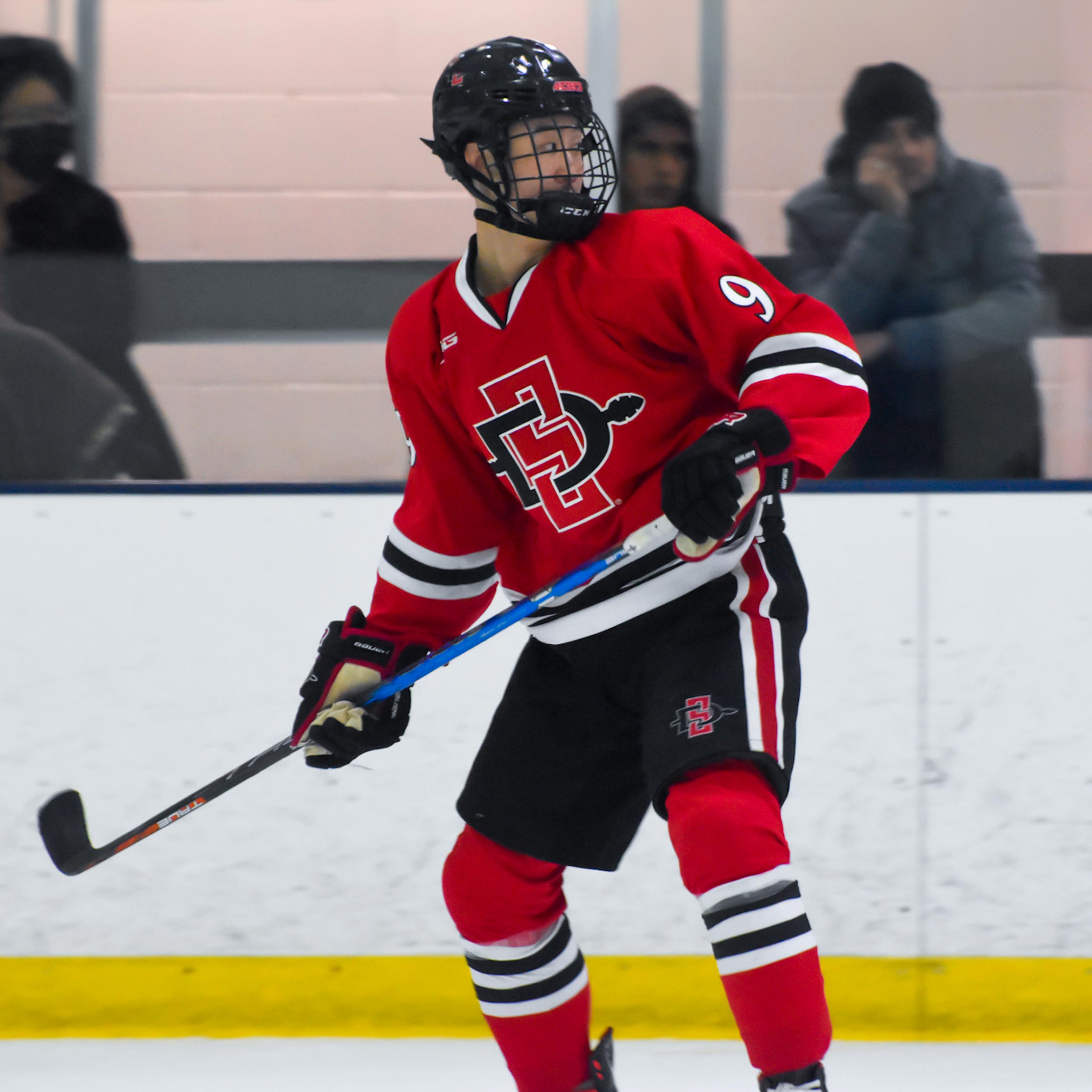 Hockey Player on ice