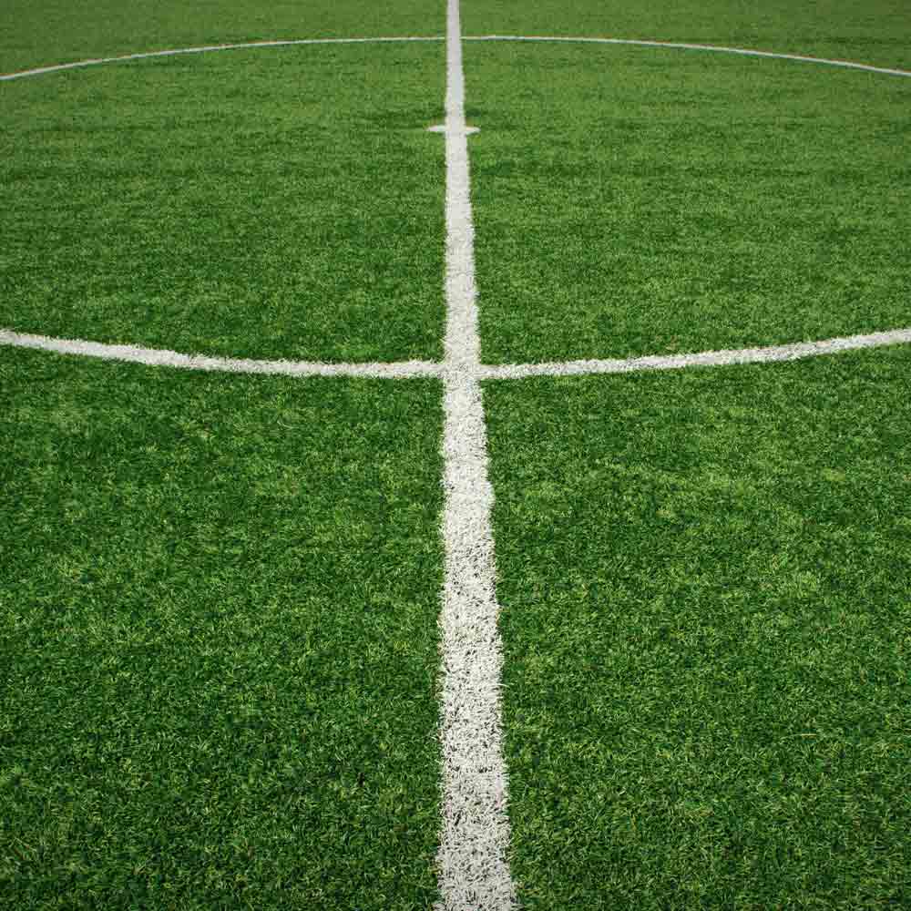 Soccer grass field with white lines