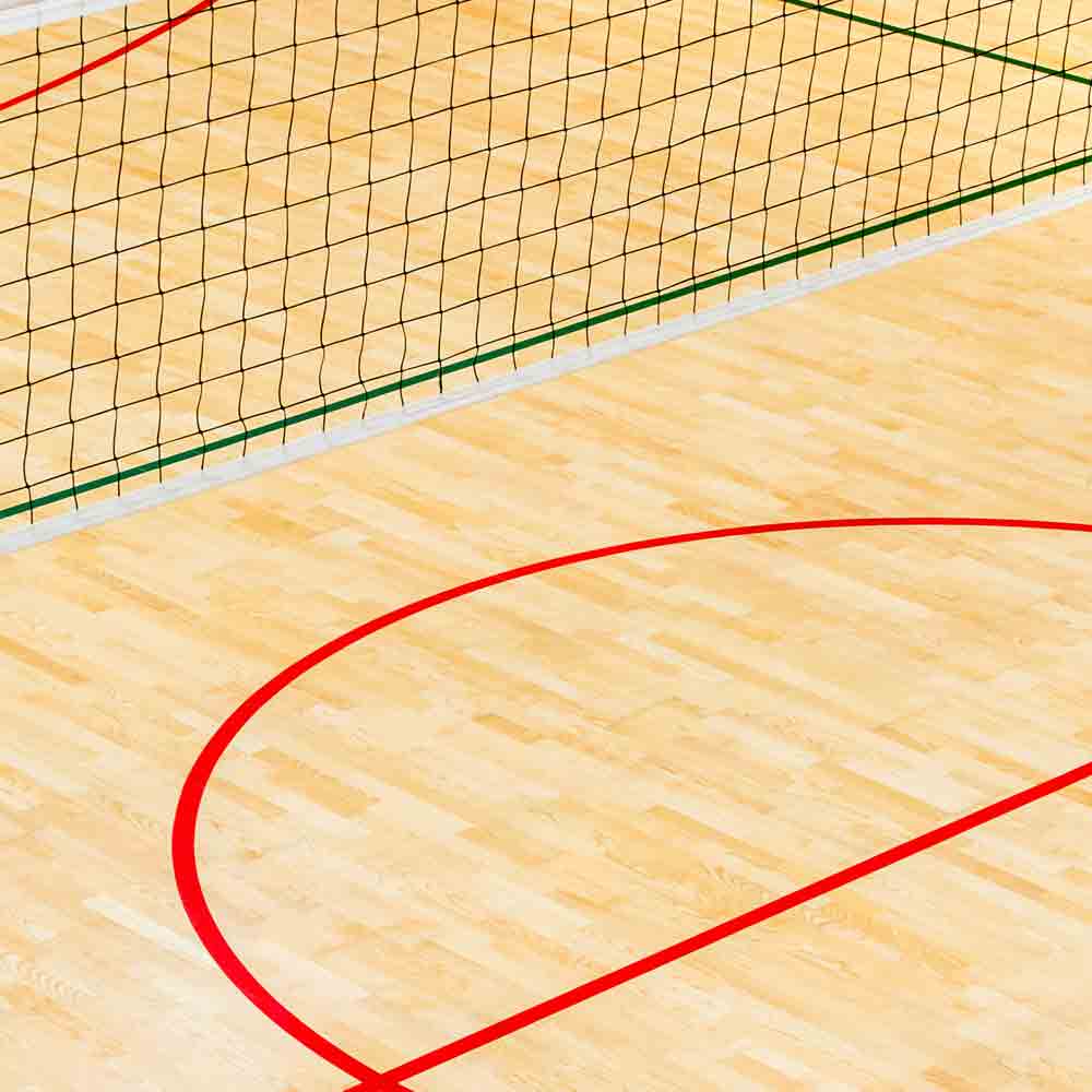 Volleyball court and net