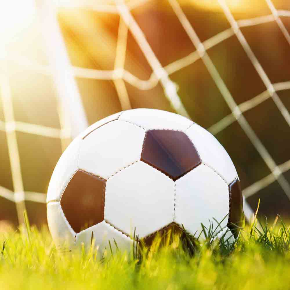 Soccer ball laying on grass in front of the  goal net